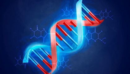 DNA结构揭秘：跨学科探索擦出的火花