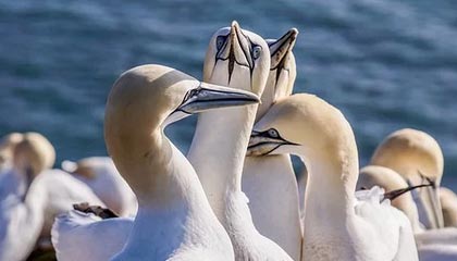 考拉畅付pos机手续费费率怎么算的？