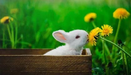 开店宝pos机刷卡连接失败是什么原因？